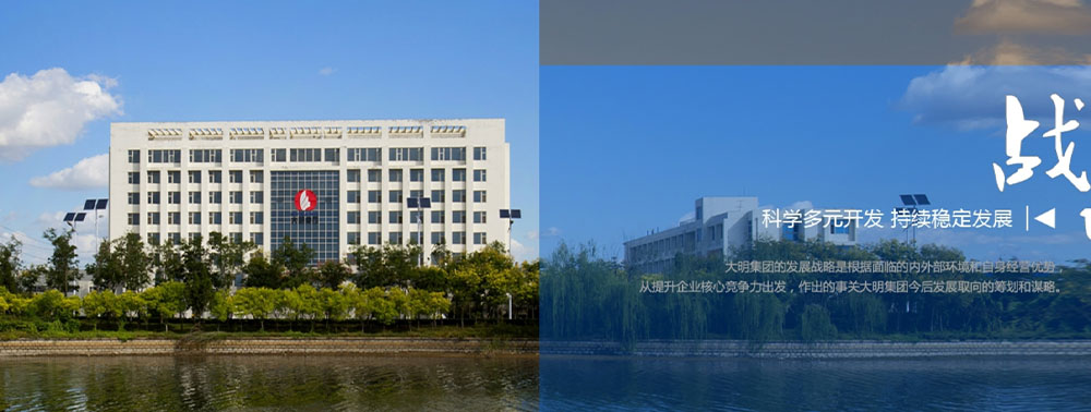 大明集團(tuán)首頁展示.png